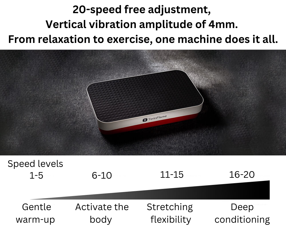twinflame vertical vibration plate